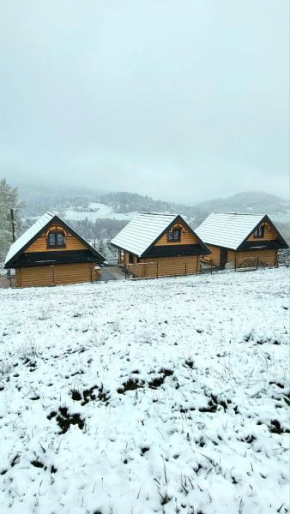 Chaty pod Pilskiem - sauna i jacuzzi w cenie - Krzyżówki - Korbielów